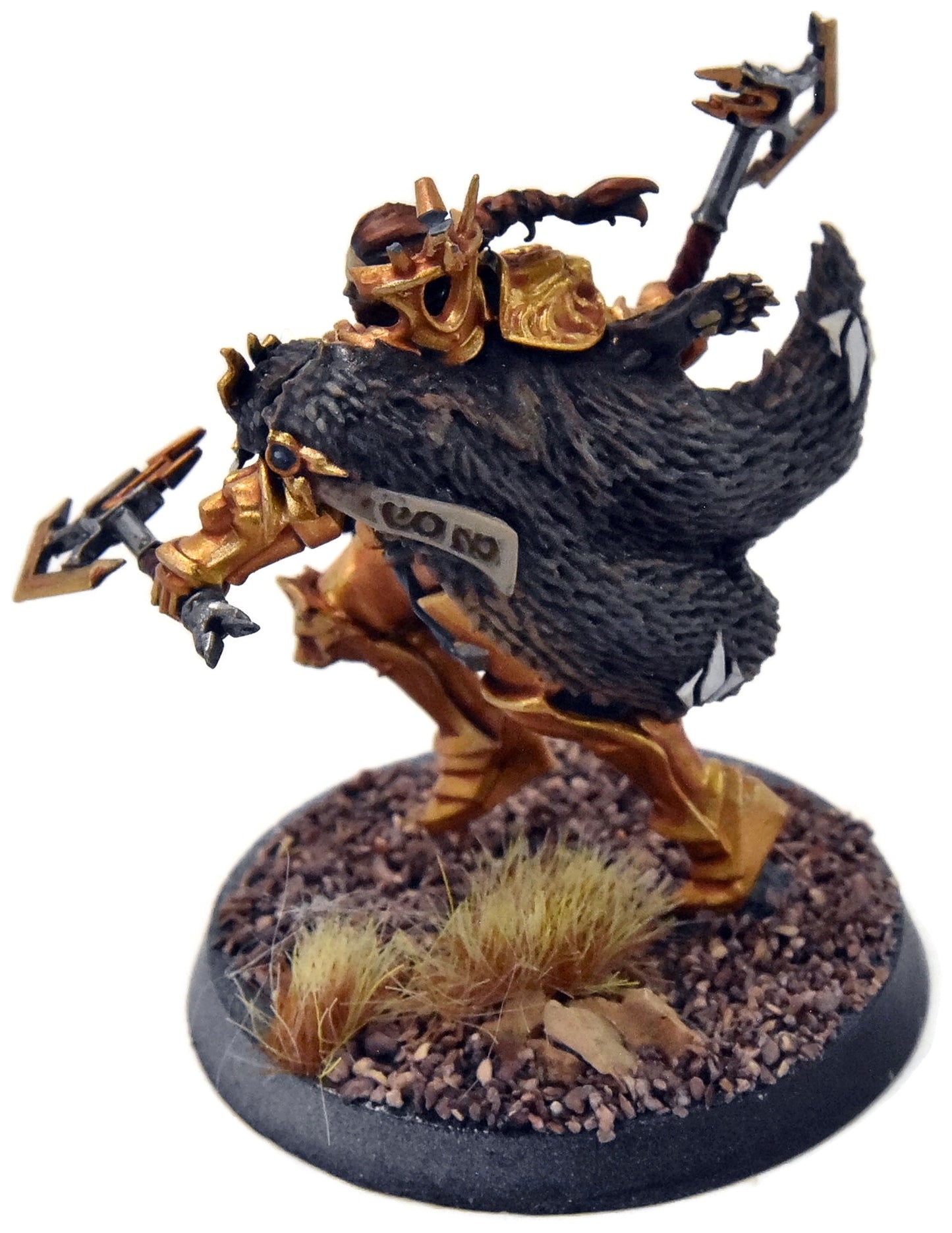 STORMCAST ETERNALS Neave Blacktalon #1 WELL PAINTED Sigmar