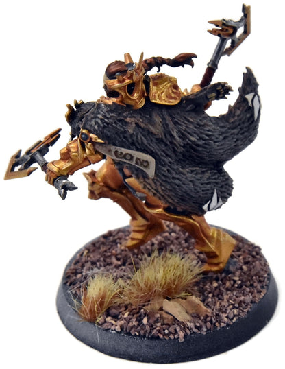 STORMCAST ETERNALS Neave Blacktalon #1 WELL PAINTED Sigmar