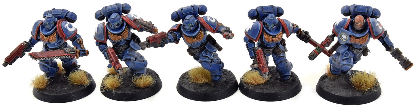 SPACE MARINES 10 Assault Intercessors #1 WELL PAINTED Ultramarines 40K