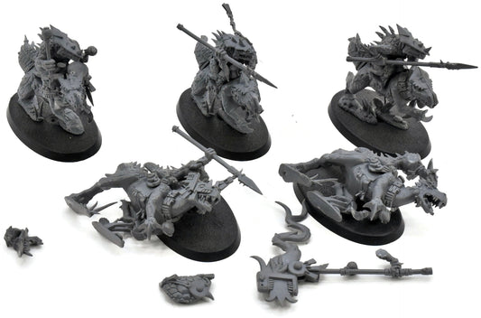 SERAPHON 5 Cold One Riders #1 Warhammer Sigmar Saurus Knights