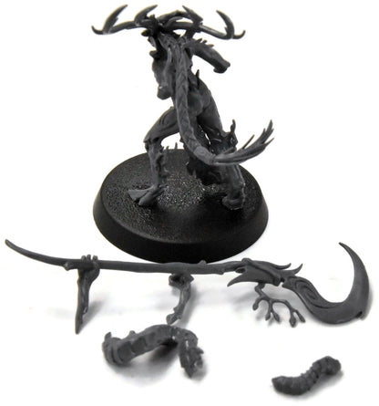 SYLVANETH Branchwych #1 Sigmar 3932