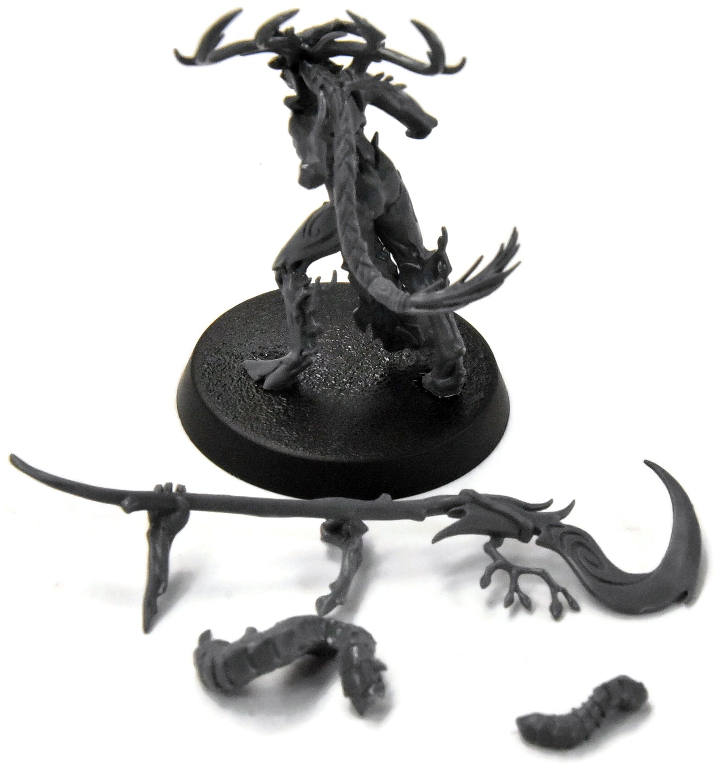 SYLVANETH Branchwych #1 Sigmar 3932