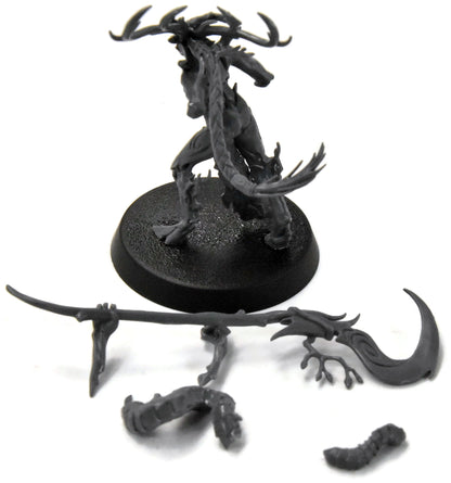 SYLVANETH Branchwych #1 Sigmar 3932