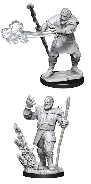 D&D Unpainted Minis Wv11 Male Firbolg Druid