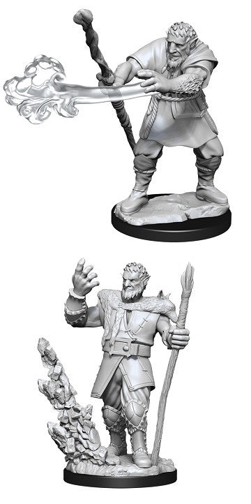 D&D Unpainted Minis Wv11 Male Firbolg Druid