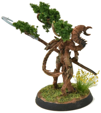 SYLVANETH Branchwych #1 WELL PAINTED Sigmar