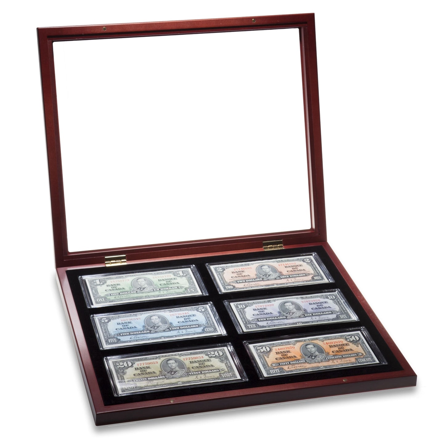 Showcase For 6 Banknotes Including Capsules