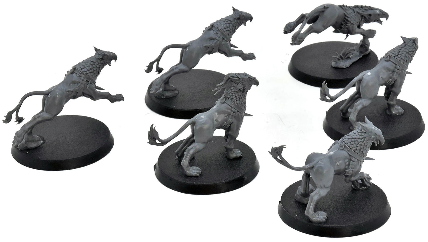 STORMCAST ETERNALS 6 Gryph Hounds #2 Warhammer Sigmar 2657