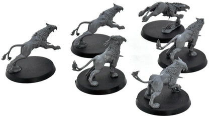 STORMCAST ETERNALS 6 Gryph Hounds #2 Warhammer Sigmar 2657