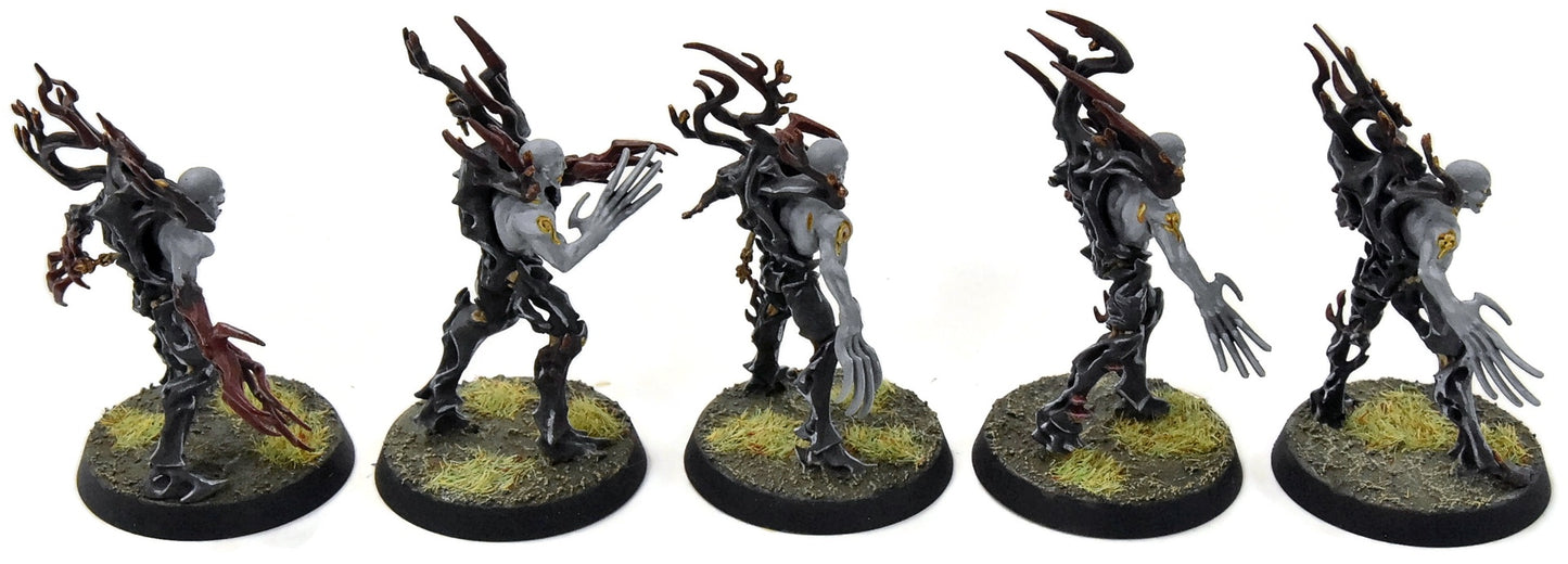 SYLVANETH 5 Spite Revenants #1 WELL PAINTED Sigmar