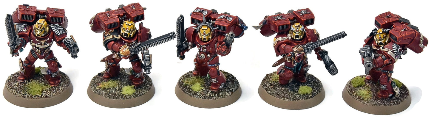 BLOOD ANGELS 5 Vanguard Veteran Squad #14 PRO PAINTED Warhammer 40K