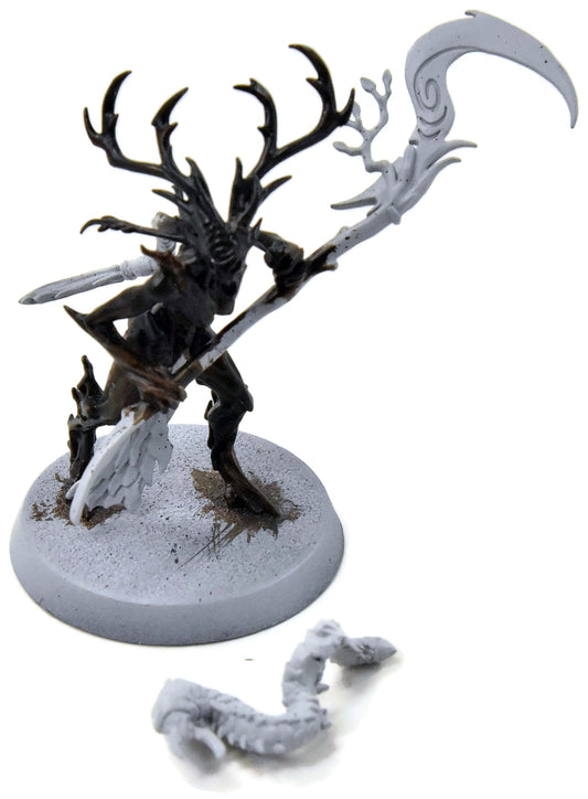 SYLVANETH Branchwych #1 Sigmar 5683