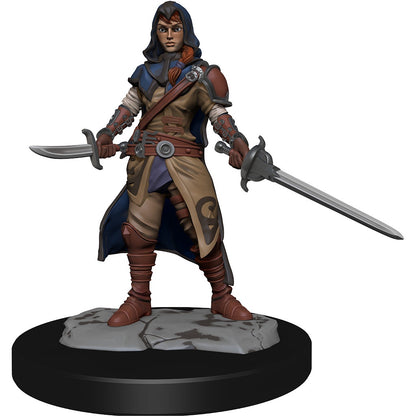 D&D Unpainted Minis Wv14 Half-elf Rogue Female