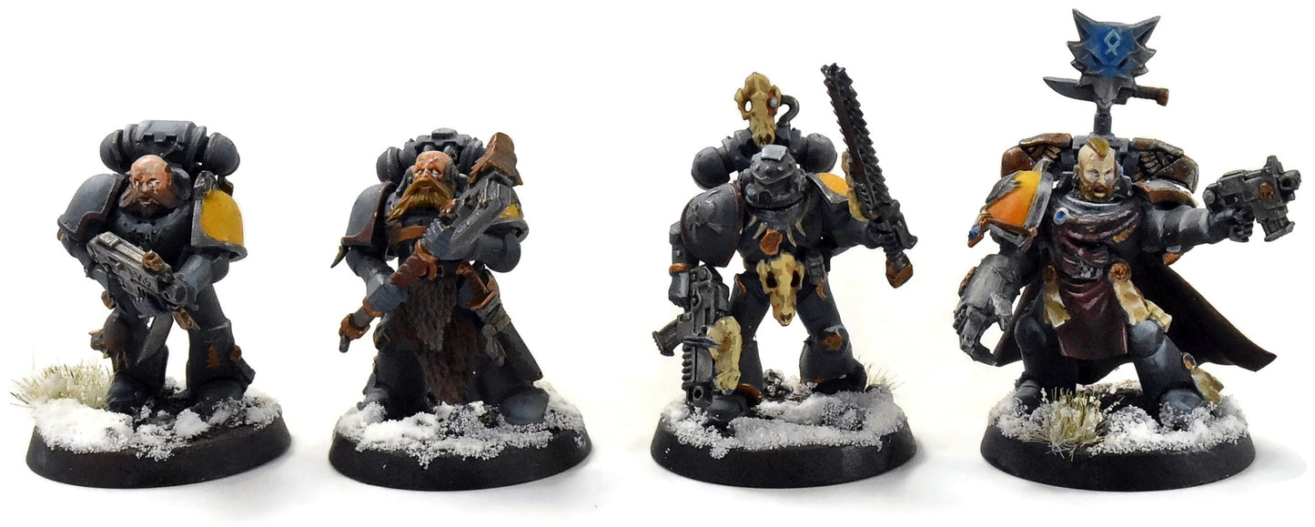 SPACE WOLVES 7 Grey Hunters #1 PRO PAINTED Warhammer 40K