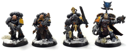 SPACE WOLVES 7 Grey Hunters #1 PRO PAINTED Warhammer 40K