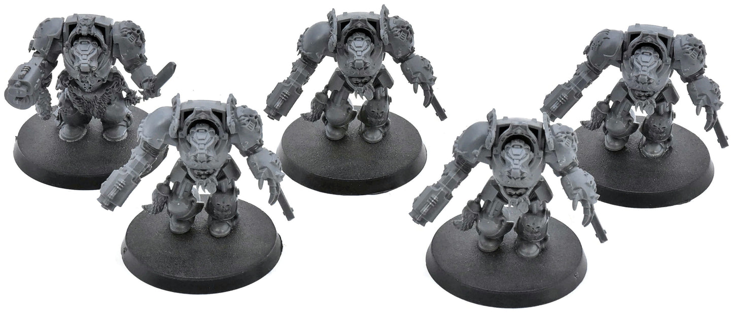 SPACE WOLVES 5 Wolf Guard Terminators #1 Warhammer 40K 8040