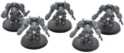 SPACE WOLVES 5 Wolf Guard Terminators #1 Warhammer 40K 8040