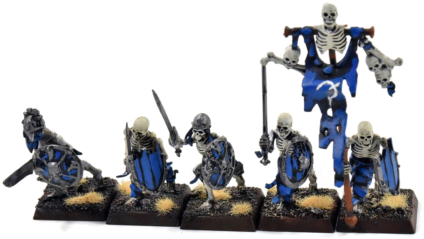 VAMPIRE COUNTS 10 Skeletons #9 WELL PAINTED Fantasy