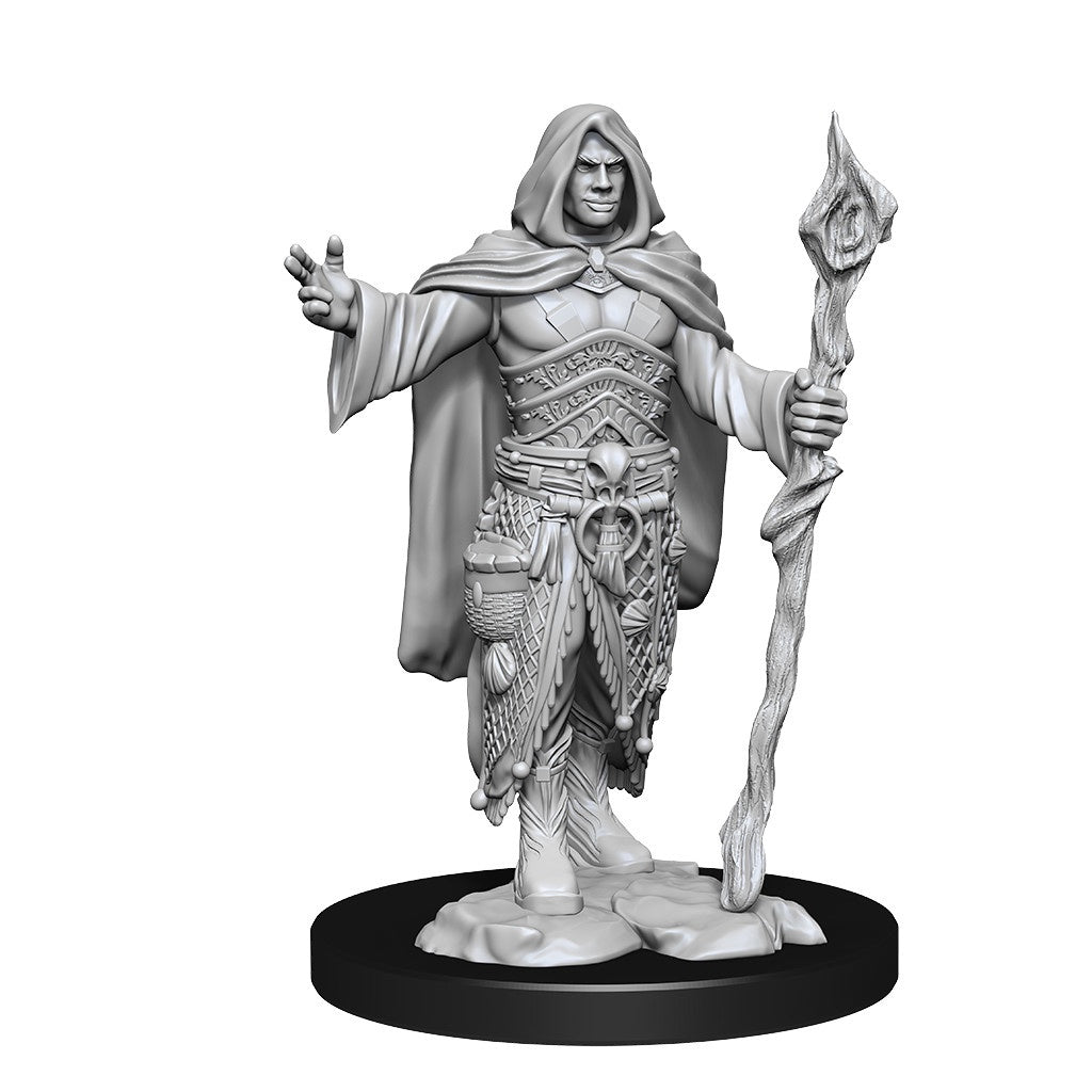 D&D Unpainted Minis Wv14 Human Druid Male