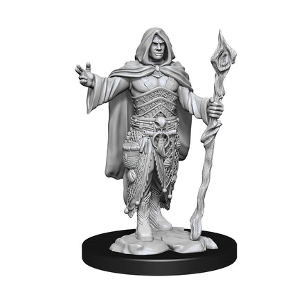 D&D Unpainted Minis Wv14 Human Druid Male