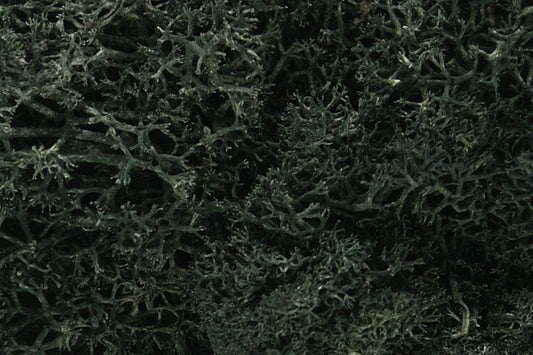 Woodland Scenics Lichen - Dark Green L164