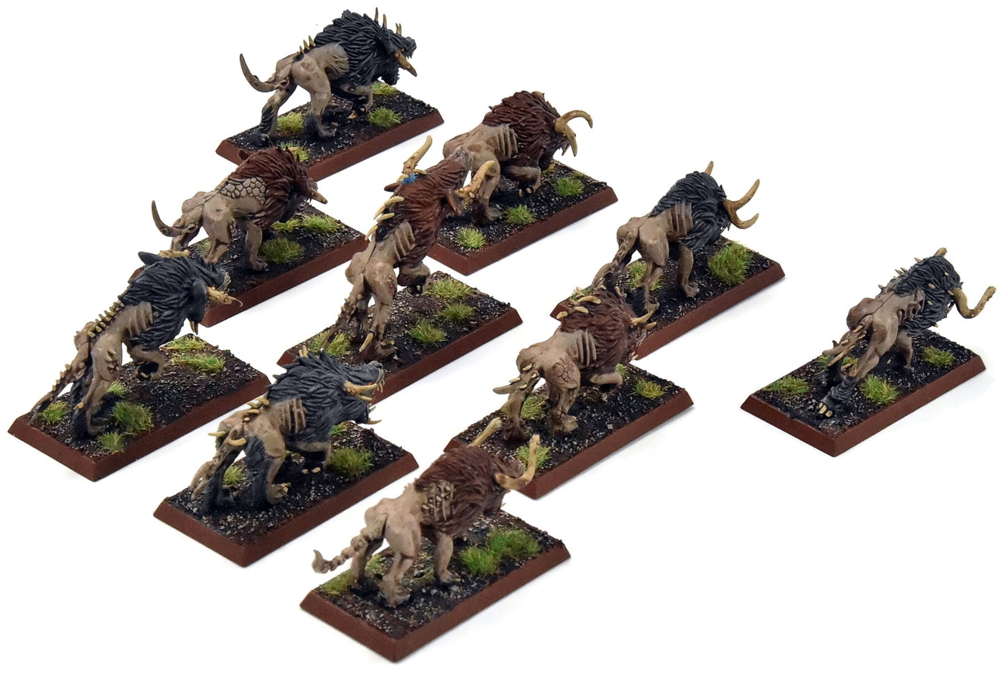 BEASTMEN 10 Chaos Warhounds #1 PRO PAINTED Fantasy