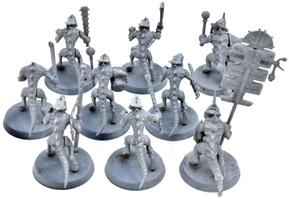 SERAPHON 9 Saurus Warriors #3 Warhammer Sigmar