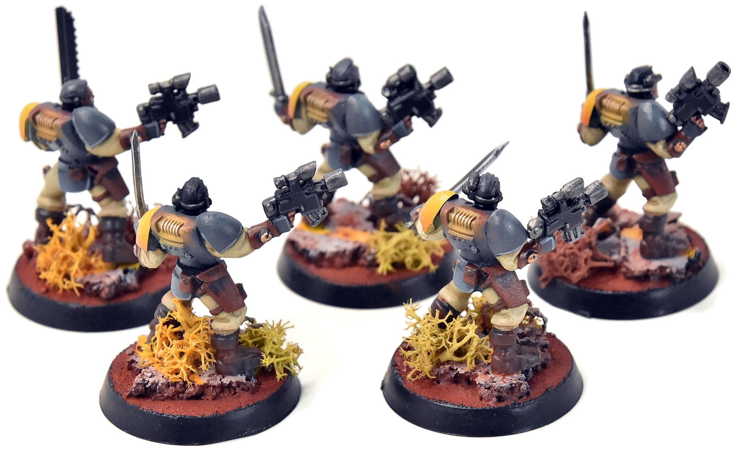 SPACE MARINES 5 Scouts #1 PRO PAINTED Warhammer 40K 0023