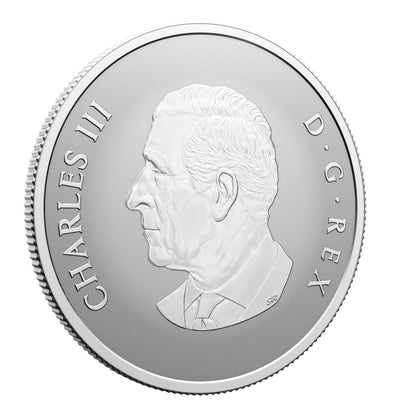 Welcome to the World! - Fine Silver Coin (2025)(247566)
