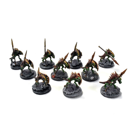 SERAPHON 10 Saurus Warriors #3 WELL PAINTED Sigmar