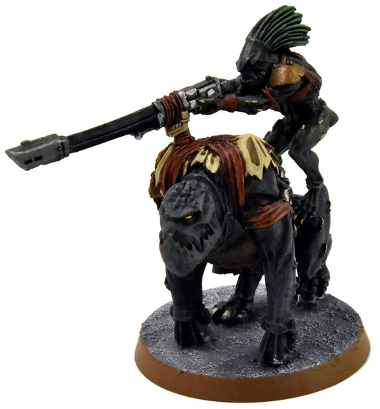 TAU EMPIRE Krootox Rider #1 OOP WELL PAINTED Warhammer 40K Finecast
