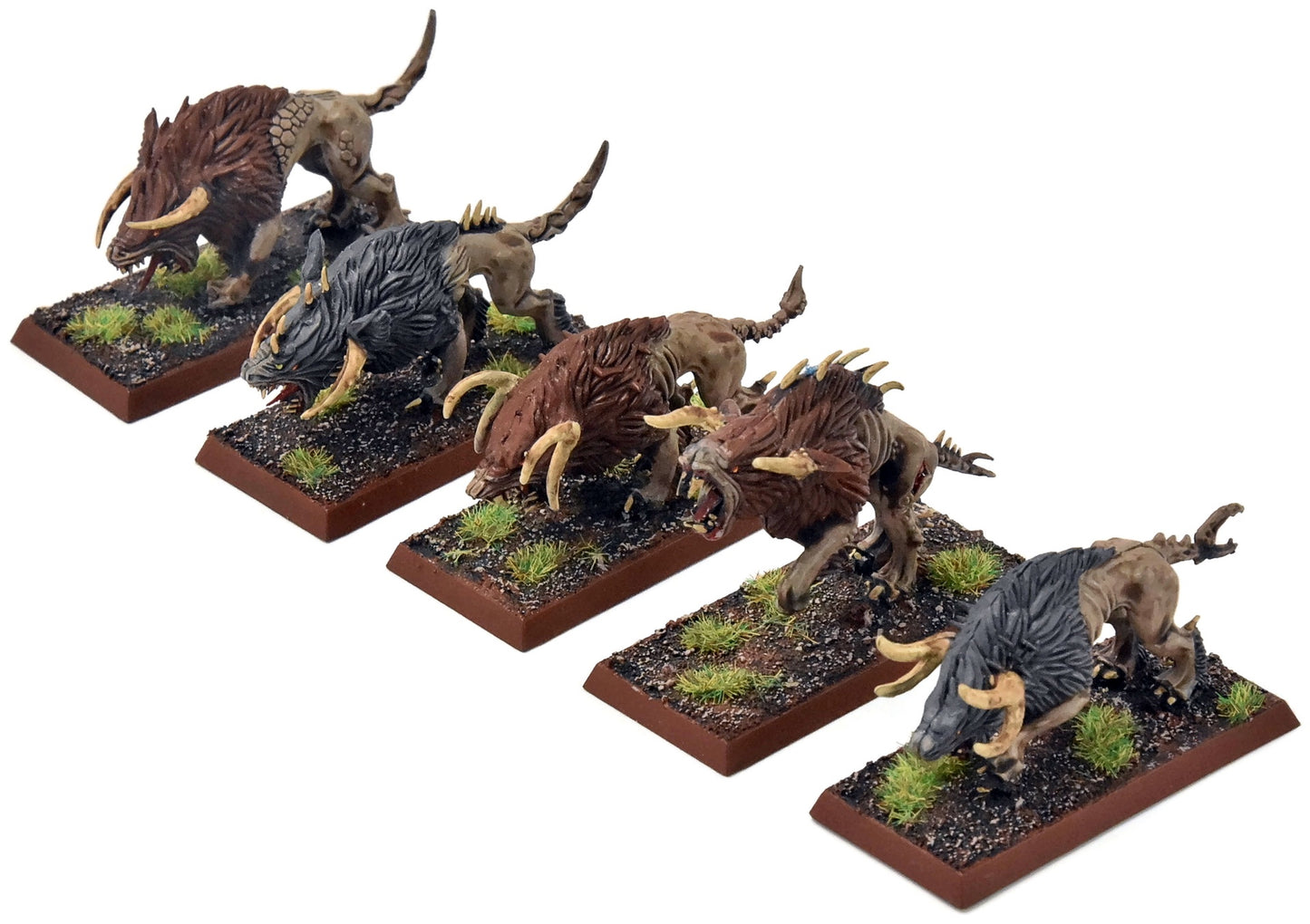 BEASTMEN 10 Chaos Warhounds #1 PRO PAINTED Fantasy
