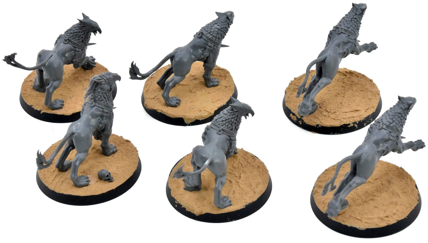 STORMCAST ETERNALS 6 Gryph Hounds #1 Warhammer Sigmar 4172