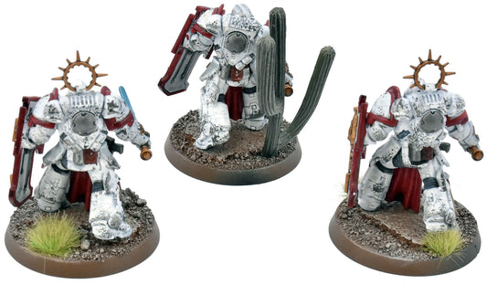 SPACE MARINES 3 Bladeguard Veterans #1 WELL PAINTED 40K White Scars