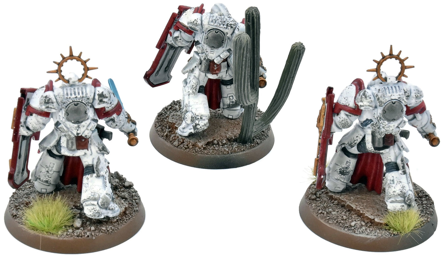 SPACE MARINES 3 Bladeguard Veterans #1 WELL PAINTED 40K White Scars