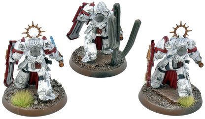SPACE MARINES 3 Bladeguard Veterans #1 WELL PAINTED 40K White Scars