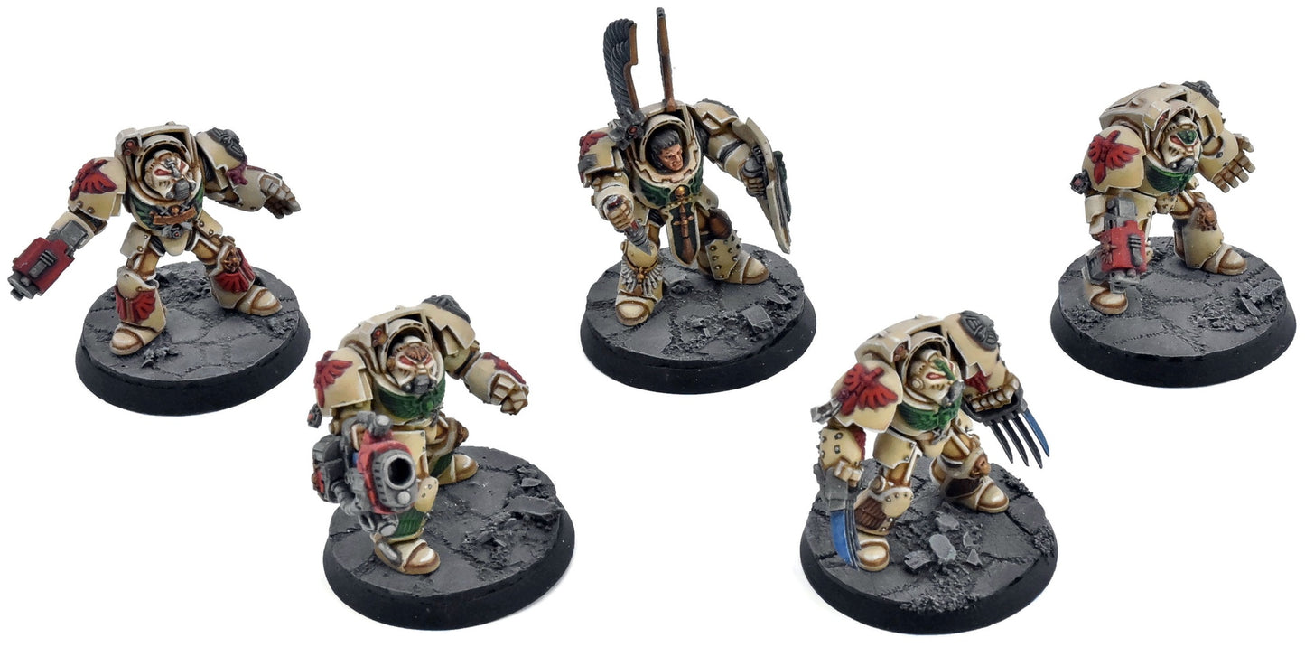 DARK ANGELS 5 Deathwing Terminators #1 WELL PAINTED Warhammer 40K