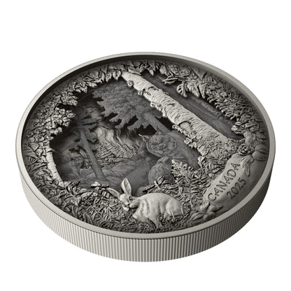 Predator or Prey in Shadow Box – Fine Silver Coin