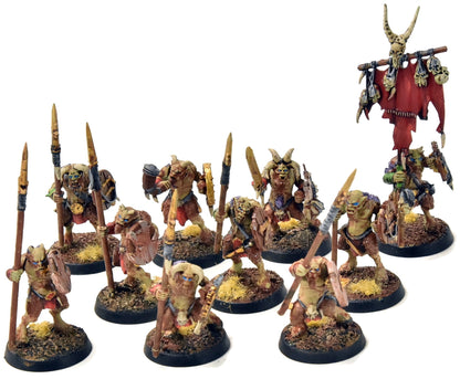 BEAST OF CHAOS 10 Ungors #2 WELL PAINTED Sigmar