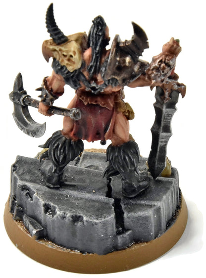 SLAVES TO DARKNESS Darkoath Chieftain #1 Sigmar WELL PAINTED