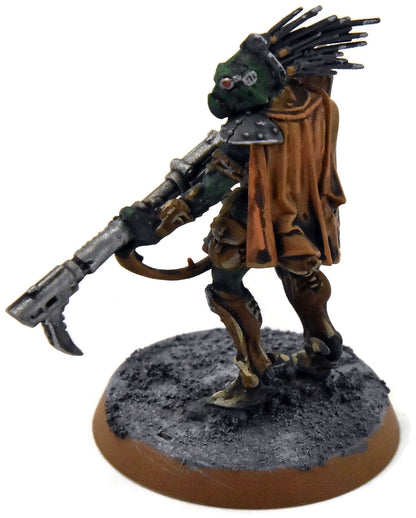 TAU EMPIRE Dahyak Grekh Kroot Tracker #1 PRO PAINTED Warhammer 40K