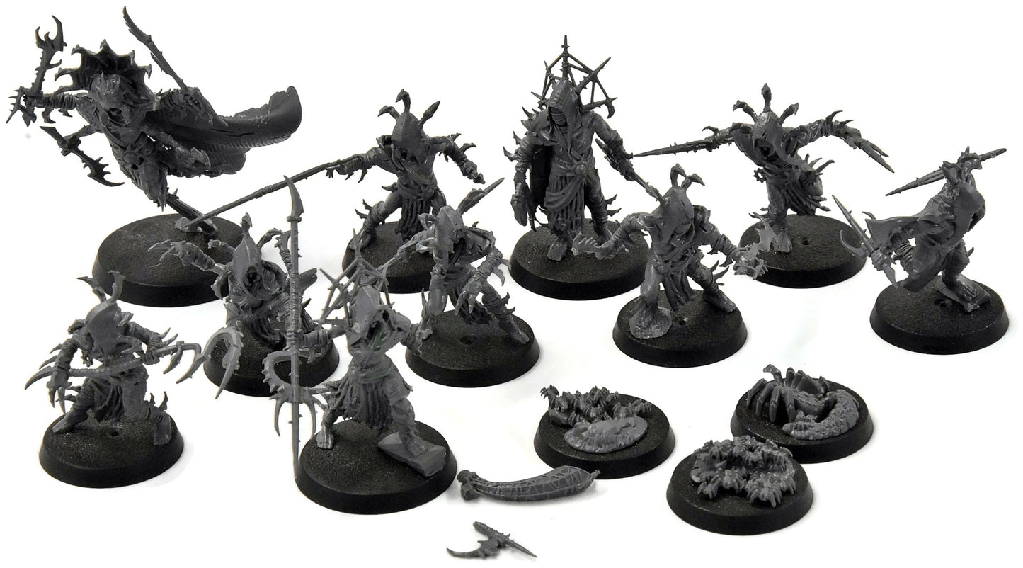 SLAVES TO DARKNESS 13 Tarantulos Brood #1 Sigmar