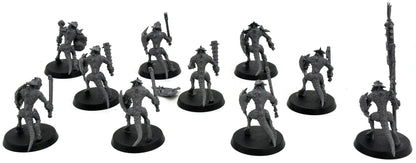 SERAPHON 10 Saurus Warriors #2 Warhammer Sigmar 1162
