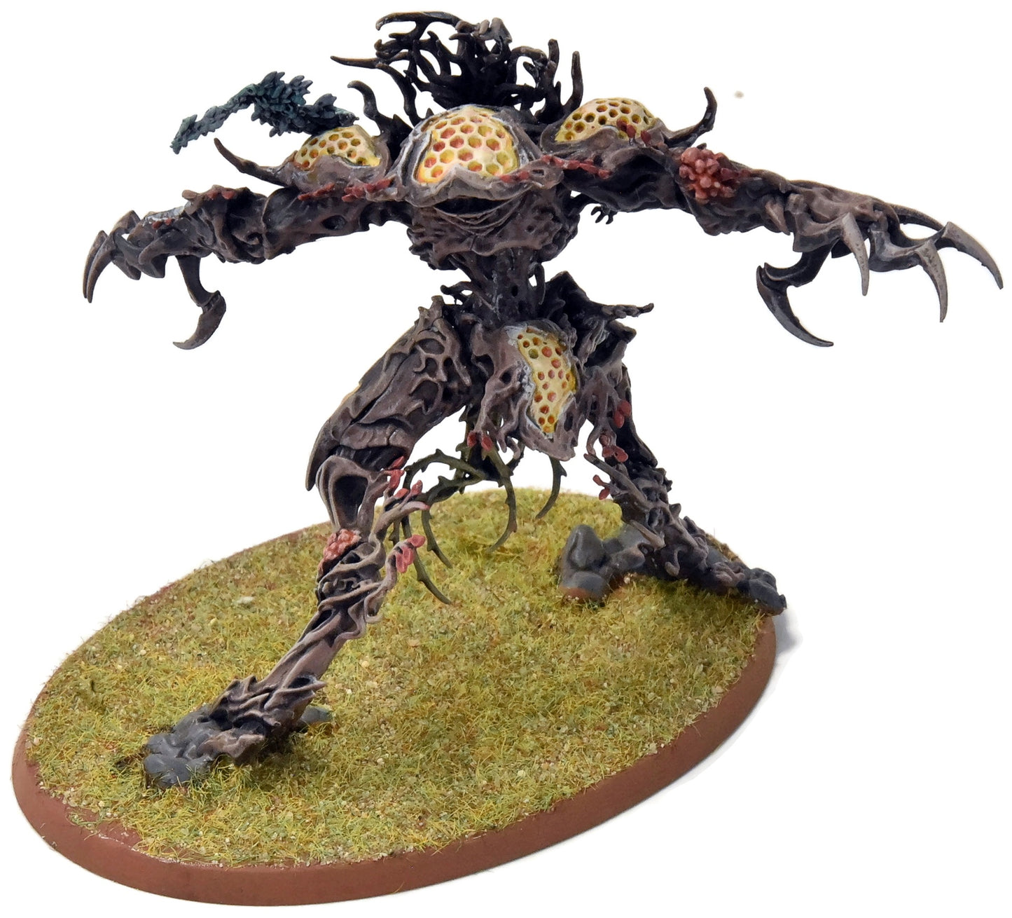 SYLVANETH Drycha Hamadreth #1 Sigmar