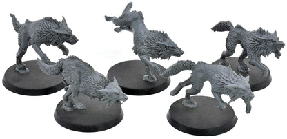 SPACE WOLVES 5 Fenrisian Wolves #8 Warhammer 40K