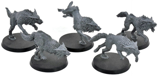 SPACE WOLVES 5 Fenrisian Wolves #8 Warhammer 40K