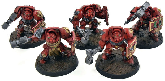 BLOOD ANGELS 5 Terminators #1 PRO PAINTED Warhammer 40K