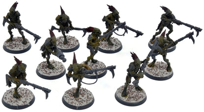 TAU EMPIRE 10 Kroot Carnivores #2 Warhammer 40K