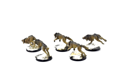 SPACE WOLVES Fenrisian Wolves #2 PRO PAINTED 40k