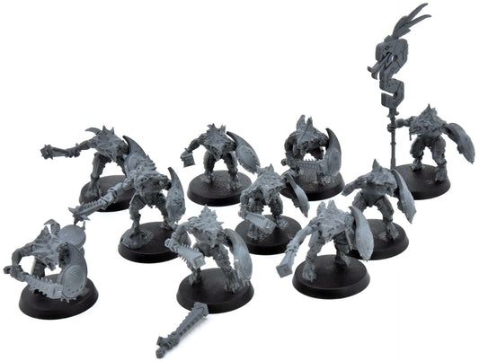SERAPHONS 10 Saurus Warriors #1 Warhammer Sigmar